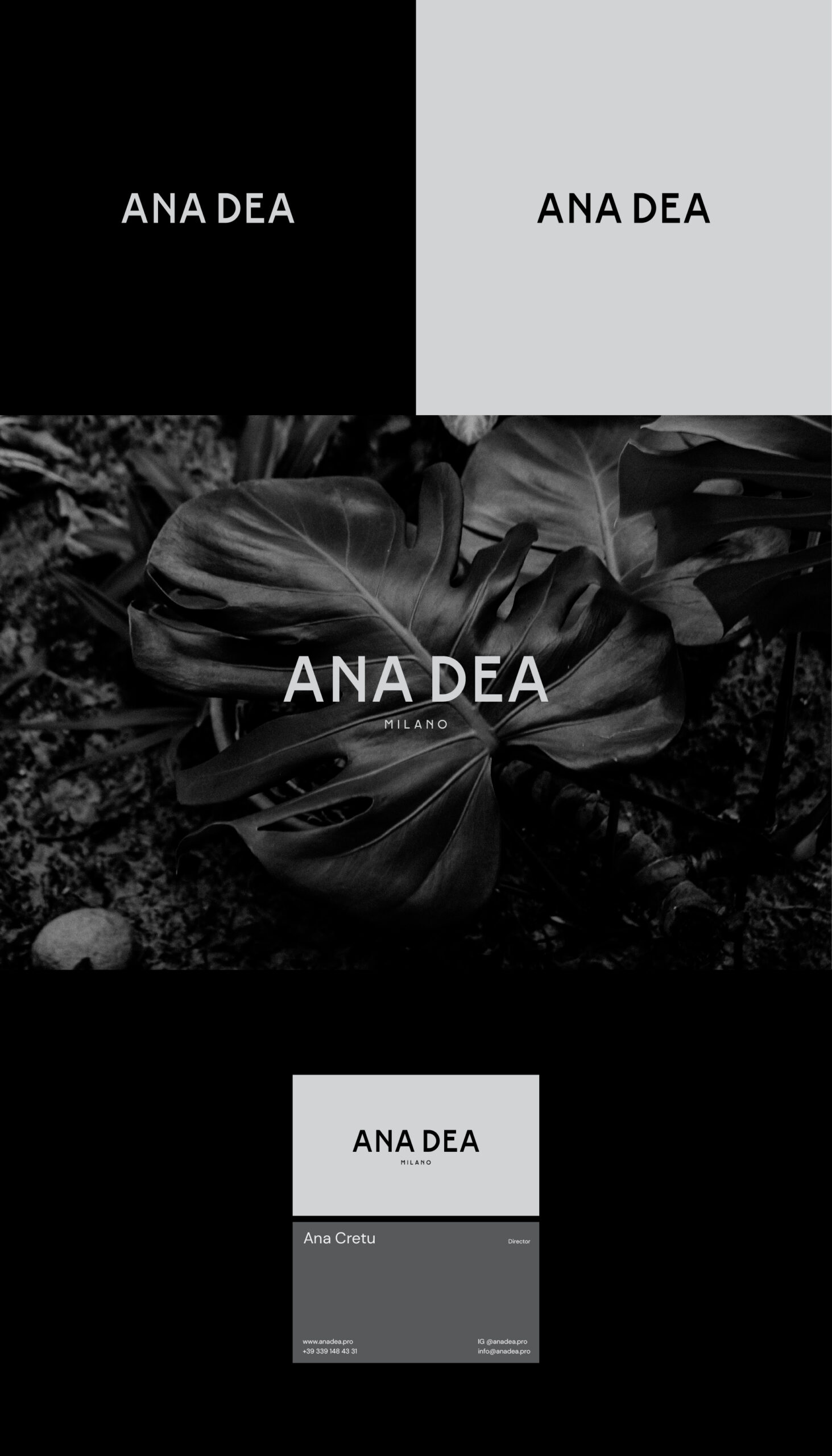 ANADEA Logo-04-02