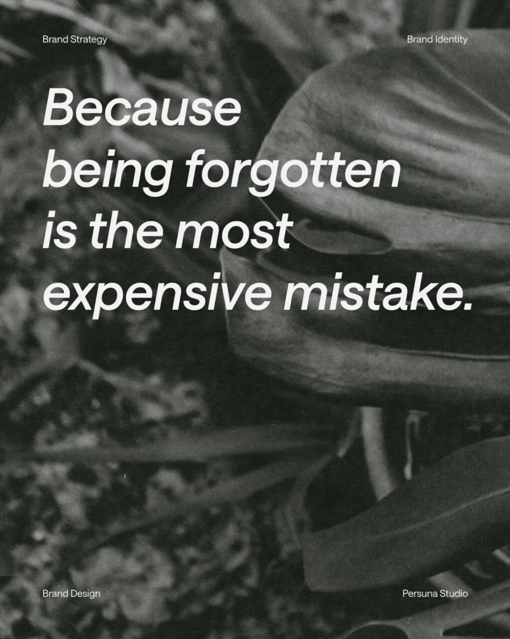 Instagram post from persuna_studio. This post is in position 2.